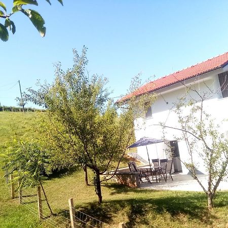 Grajsko Villa Метлика Екстериор снимка