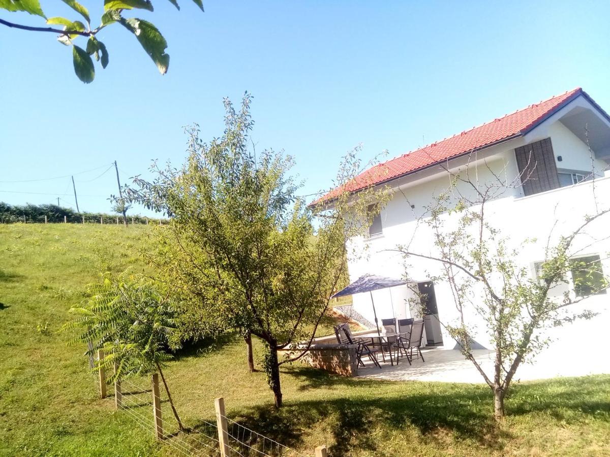 Grajsko Villa Метлика Екстериор снимка